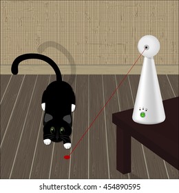 interactive laser toy for cats and black cat on the floor