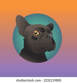 Interested Bulldog character cartoon dog