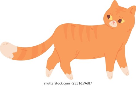 Interested cat looking back. Funny ginger kitten isolated on white background