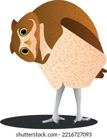 The interested owl look over the side