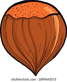 Interesting chestnut, illustration, vector on a white background.