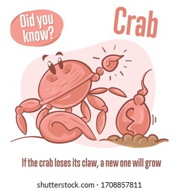 Interesting facts about crab. Did you know? 