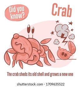 Interesting facts about the crab. Did you know?