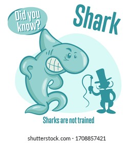 Interesting facts about sharks. Did you know?