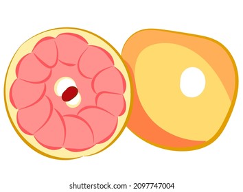 interessante Fruchtgrapefruitsymbol auf weißem Hintergrund, Vektorgrafik
