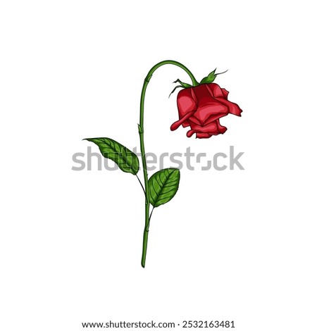 An interesting illustration of a wilting rose as a template