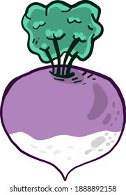 Interesting purple turnip ,illustration,vector on white background