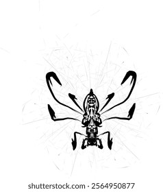 interesting spider illustration for tattoo material 