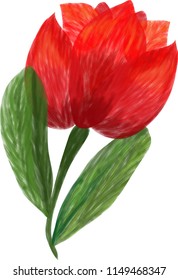 interesting unusual spring Tulip