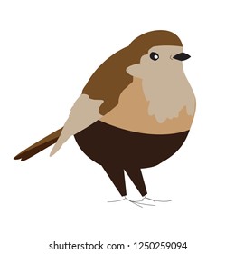interesting vector round brown bird to illustrate children's books or business logos