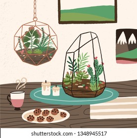 Interior of cozy room with succulents, cactuses and other desert plants growing in glass vivariums or florariums. Natural home decorations in trendy Scandic style. Colorful vector illustration.