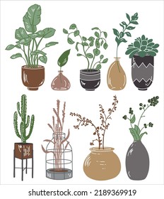 Interior decor vector set. Doodle pots and vases with cactus, monstera, succulents and leaves. Flat home plants bohemian bundle.