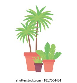 interior decoration potted plants isolated design white background vector illustration