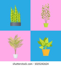 Interior decoration, set of plants, flower pots with green houseplants, botanical elements, creative and good atmosphere at home, vector illustration