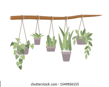 Interior design of room with room plants on branch. Vector flat illustration of trendy and comfortable decorations for home interior isolated on white background.