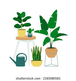 Interior design with table, watering can and houseplants. Trendy composition with home decorations. Isolated vector illustration