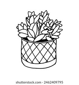 Interior flower in pot. Indoor home plant vector illustration. Potted houseplant, line art hand drawing. Trendy gardening decor doodle sketch botanical isolated elements