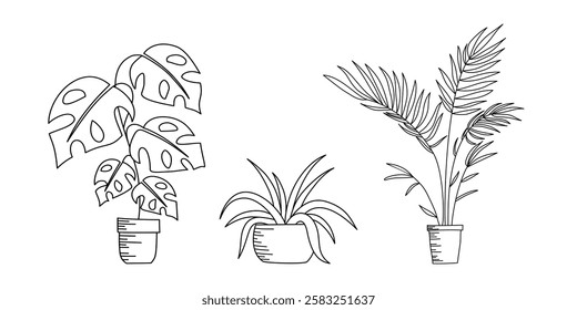 Interior flowers in pot. Indoor Home plants vector illustration set. Potted houseplant, line art hand drawing. Gardening concept.