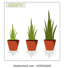 Interior growth, plants. Vector Illustration. 