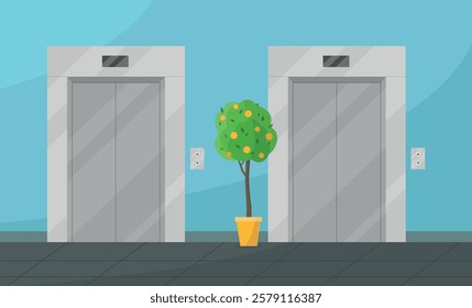 Interior of a hall with two elevators and an orange tree. Hall of an office, medical center, agency.