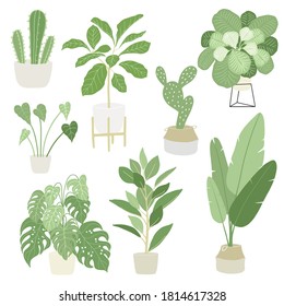 Interior home indoor plants set. Home garden or jungle. Monstera, palm, ficus, cactus and others trees and home plants in ceramic basket and pots. Hand drawn. Vector illustration.