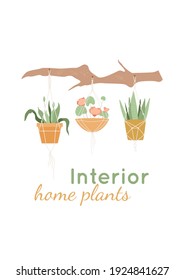 Interior home plants text. Potted flowers hang on a decorative branch in a handmade macrame planters. Advertise banner, card with leaves. Vector illustration on white background.