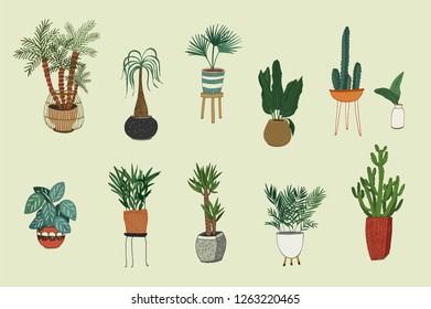 interior home plants vector illustrations set