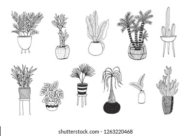 interior home plants vector illustrations set