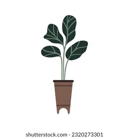 interior house plant icon white background