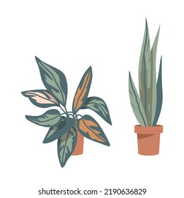 Interior Houseplant Growing in Brown Ceramic Flowerpot as Green Home Leafy Decor Vector Set