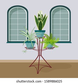 Interior with indoor plants on a stand for the design of a home, room or office. Sansevieria, chlorophytum, fern. Flat design. Vector illustration.