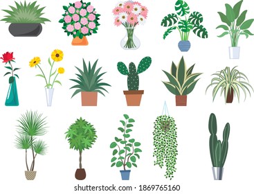 Interior item set: foliage plants and flowers