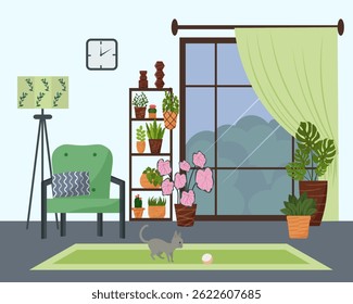 Interior with living room furniture. Large window with curtain. Shelf with plants. Armchair with pillows. Carpet on the floor. Kitten playing ball. Cozy interior with house flowers. Floor lamp and