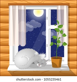 Interior. On the windowsill comfortably sleeping cat. Nice card. Good night.
