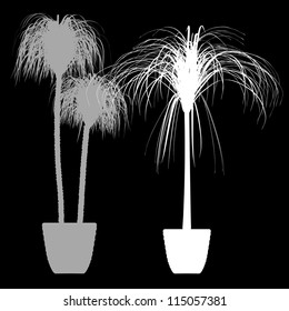 Interior palm trees design - detailed vector