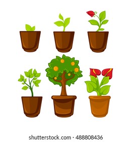 Interior plant flowers Pots plants with flowers and leaves set. Vector illustration. Isolated on white. Interior plant flowers Pots plants with flowers and leaves set. 