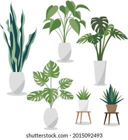 ilustración vectorial de conjunto de plantas interiores