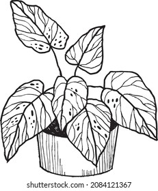 Afiche interior con dibujo negro de la planta de la casa en estilo de bosquejo a mano alzada aislado en fondo blanco. Ilustración digital en el estilo del dibujo a mano con tinta, carbón vegetal, lápiz.