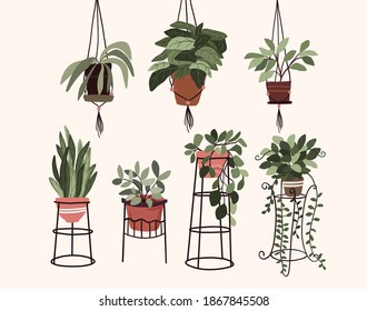 interior potted plants decor elements set sticker green thumb for bullet journal 