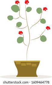 Interior room flower in a pot.White background.Vector illustration.
