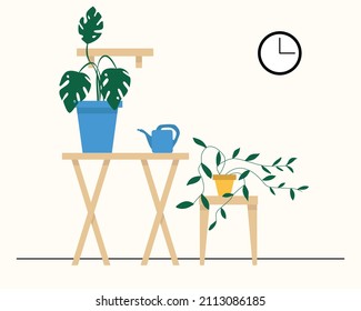 The interior of a room with a table, a chair and indoor flowers. House plants in the room