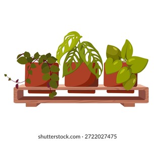 Interior set of indoor plants in pots. 2D vector sticker for home decor in a green style, art.
