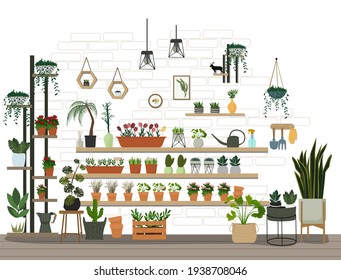 Interior with various indoor plants on shelves, stands, tables. The concept of a home garden, flower shop, floral boutique.  A set of vector elements for home interior design. 