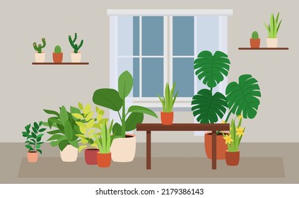 Interior with various indoor plants on the shelves, tables. Great for flower shop banner, poster, ad. Set of elements for design house, room or office interior.