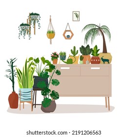 Interior with various indoor plants on shelves, stands, planters. The concept of a home garden. Vector illustration.