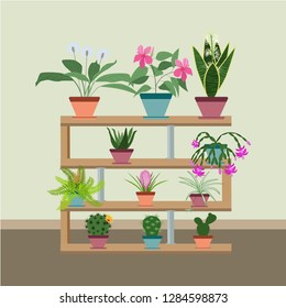 Interior with various potted plants on the shelves. Vector