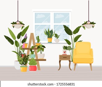 Interior with variouse indoor  house plants, cactus, succulents on the shelves, stands. Vector illustration for flower shops, banners, posters, advertising. 