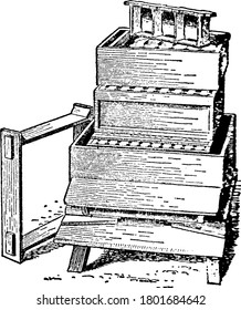 The interior of a W.B.C. Hive, a double-skinned hive that consists of a pitched roof made out of metal, named after its inventor, William Broughton Carr, vintage line drawing or engraving.