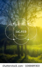 Interlocking circles flower of life sacred geometry illustration with golden ratio digits and copy space in front of photographic background.