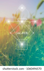 Interlocking circles and triangles sacred geometry illustration with golden ratio digits in front of photographic background.